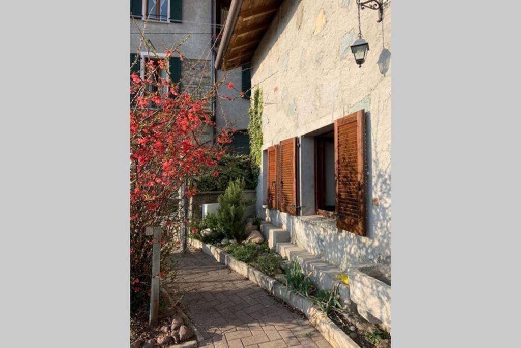 Nido Di Rongio Villa Mandello del Lario Exterior photo
